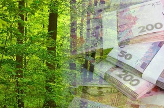 Податківці запропонували оновити декларацію з рентної плати