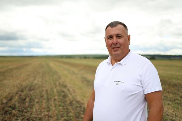 Секрети рекордних урожаїв ріпаку та зернових: досвід успішного агробізнесу