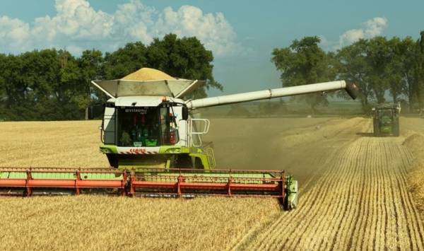 VITAGRO Agro долає виклики цьогорічної посухи