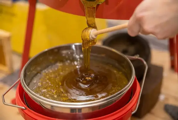 Французи готові платити більше за український мед, ніж іспанці