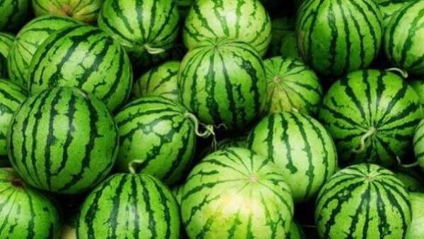 Кавуни в Україні злетіли в ціні на 20%