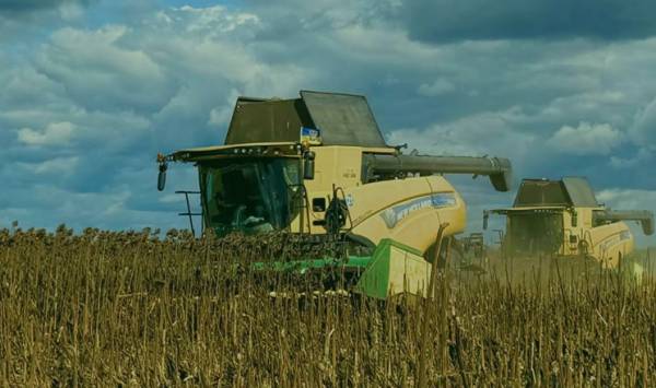 Аграрії Чернігівщини розпочали збір соняшнику