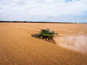 Франція стикається з експортними проблемами пшениці