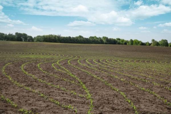 Блокування портів штовхає аграріїв до маловитратного землеробства
