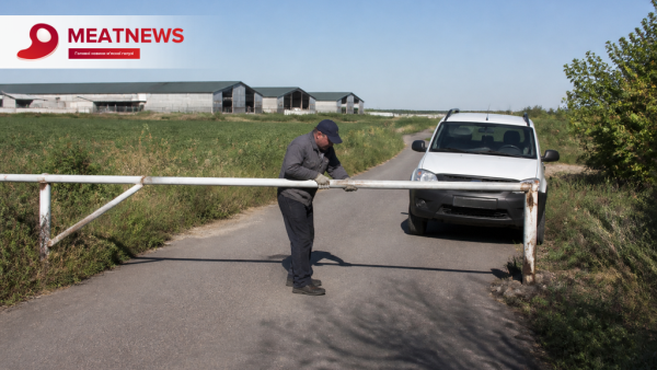 Знято карантин на Одещині: АЧС не виявили протягом 40 діб