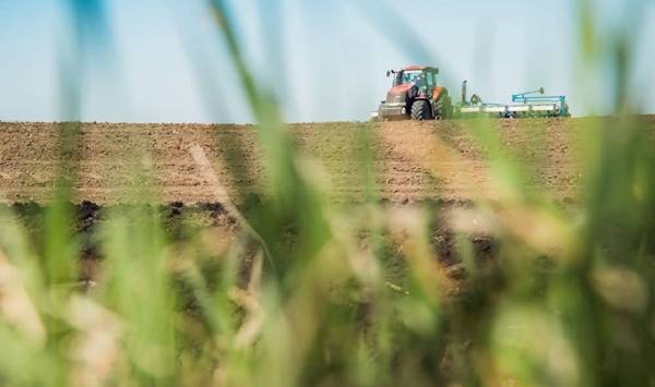 Прикарпаття розпочало осінній посів