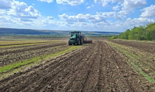 «Агрейн» завершує сівбу озимого ріпаку
