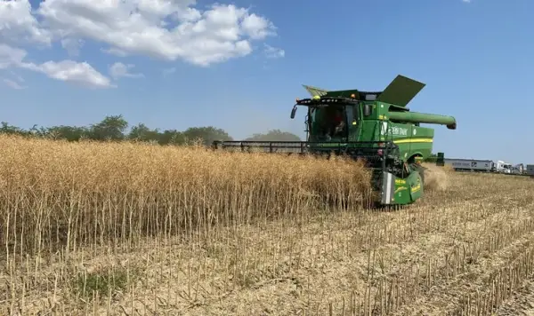 Аграрії Черкащини зібрали рекордні 1,5 мільйона тонн зерна