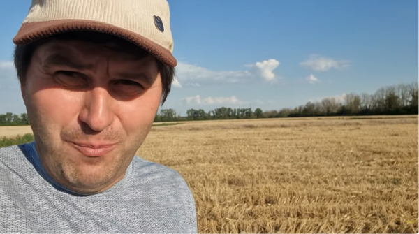 Зерно втратило якість: науковець пояснив, чому пшениця не виправдала очікувань