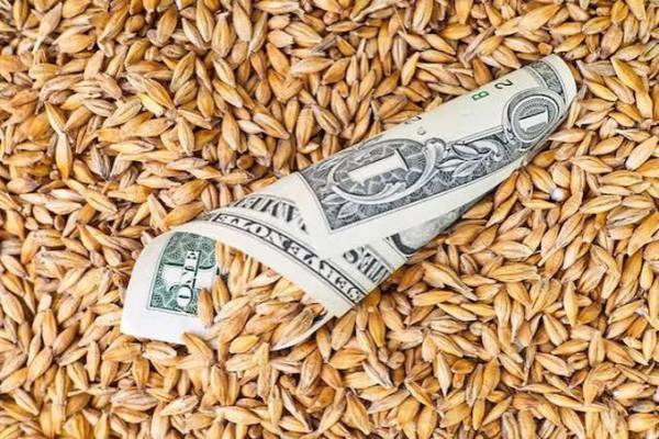 У жовтні–грудні скоригують мінімальні експортні ціни на агропродукцію
