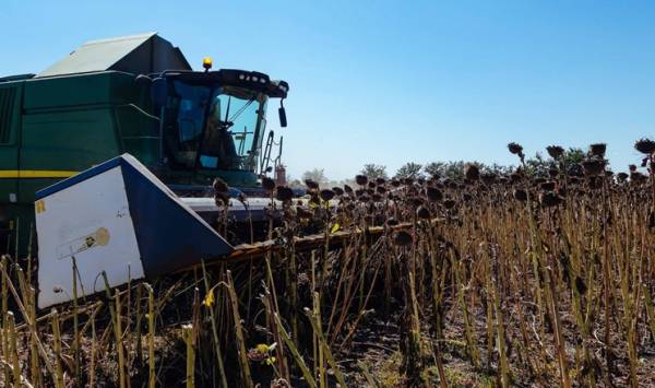 Tekom Agro Group розпочала жнива соняшнику