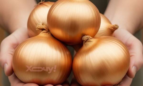 5 стійких сортів озимої цибулі, що переживуть мороз