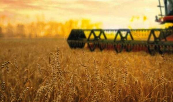 Житомирщина зібрала врожай ранніх зернових