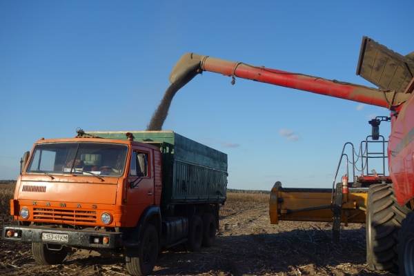 Київщина зібрала понад 2,5 мільйона тонн зерна