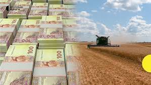 Агровиробництво втратило 9% прибутковості: Agrohub оцінив EBITDA сезону 2025