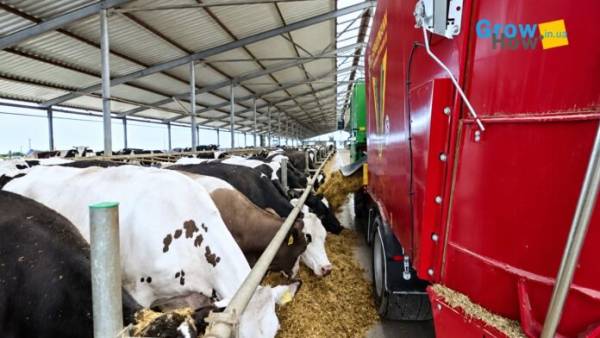 Самохідний кормозмішувач оптимізує процес годівлі на фермі «Велес Віта»
