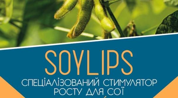 Інноваційний стимулятор росту сої: мінімальна абортація — максимальний урожай - INFBusiness