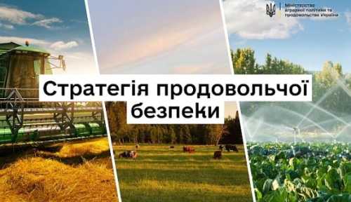 Кабмін затвердив Стратегію продовольчої безпеки до 2027 року - INFBusiness