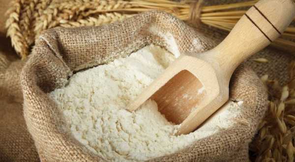 Українські млини готові доплачувати за пшеницю з високим вмістом білка - INFBusiness