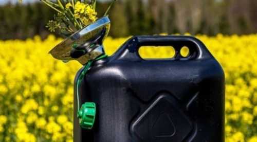 Виробництво біопалива це прибутковий напрямок для агросектору, – Віталій Головня - INFBusiness